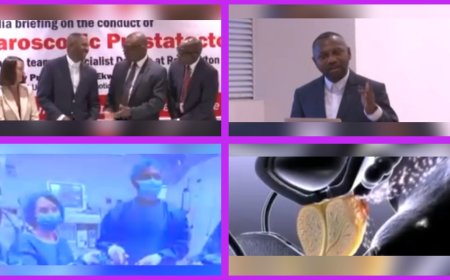 Good News For Prostrate Cancer Patients As UK-Based Nigerian Doctor Arrives Lagos, Trains Doctors On New Innovative Medical Breakthrough Treatment