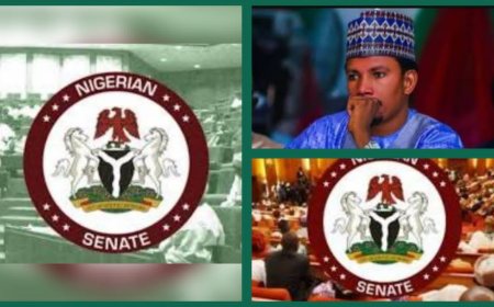 Lawmakers' N29 Million Monthly Earnings Is Too Small, Says Former Adamawa North Senator, Elisha Abo