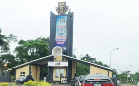 Final Year OAU Student Struck Dead By Over Speeding Vehicle On Her Way To Submit Final Project