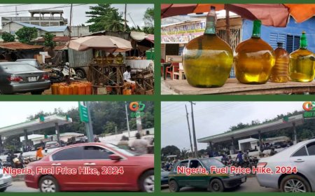 How Republique du Benin, Niger, Enjoy Snuggled Fuel While Nigerians Keep Vigils, Join Long Fuel Queues at Petrol Stations