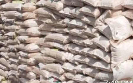 APC Ward Chairman Arrested For Allegedly Selling Federal Palliatives In Imo