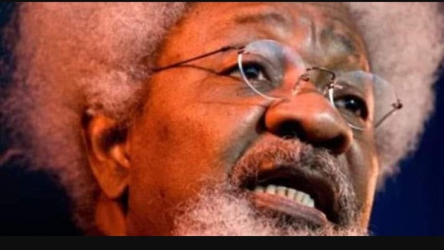 Wole Soyinka Criticizes Tinubu for Failure to Highlight Police Brutality During National Address