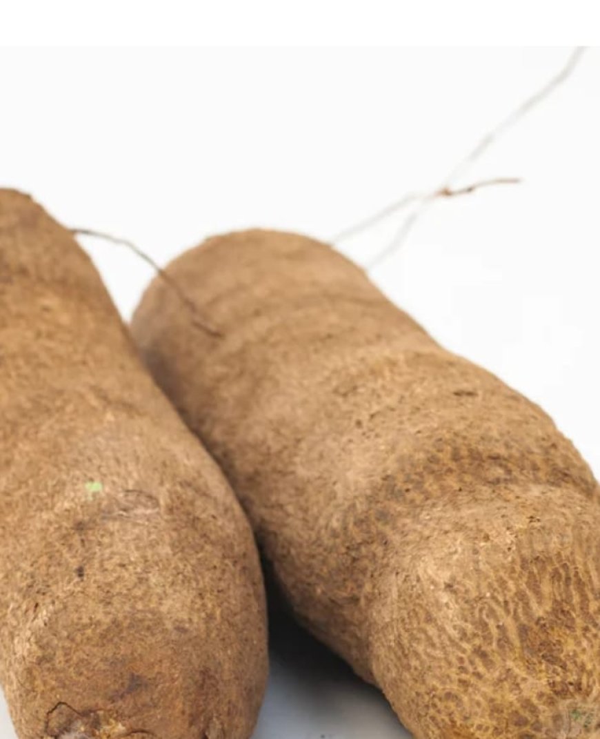 I Stole Yam on Two Ocassions Because I was Hungry- 40-Year-Old  Man Confesses Before Kaduna Court