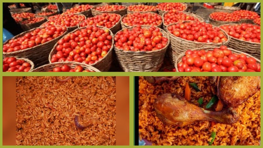 It Takes More Than Tomatoes to Make Nigerian Jollof Rice Says Food Vendor, Reacting to 58 Per Cent Drop in Prices of Tomatoes in Lagos Markets