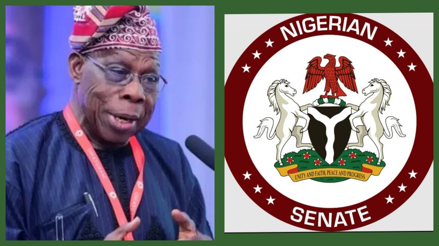 We Neither Determine Our Salaries Nor Receive Special Fiscal Packages From The President -Senate Replies Obasanjo