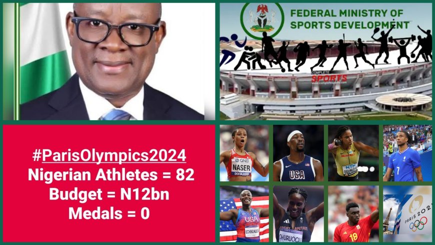 N12 Billion Paris Olympic Tourism: A Wasteful Blow To Nigeria's Fragile Economy, Sports Development Drifting Backwards in Nigeria - Ogun SWAN Chairman