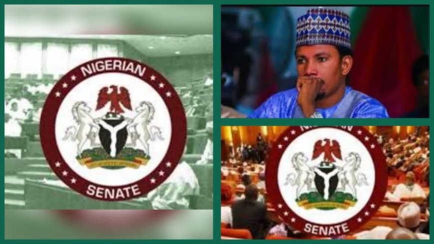 Lawmakers' N29 Million Monthly Earnings Is Too Small, Says Former Adamawa North Senator, Elisha Abo