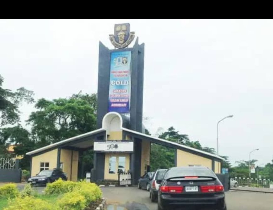 Final Year OAU Student Struck Dead By Over Speeding Vehicle On Her Way To Submit Final Project