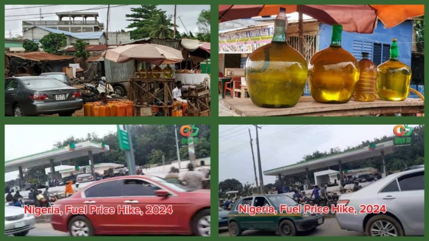 How Republique du Benin, Niger, Enjoy Snuggled Fuel While Nigerians Keep Vigils, Join Long Fuel Queues at Petrol Stations