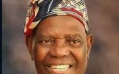 Former Osun Governor, Bisi Akande Pledges His University Of Ibadan Allowances To Support Future Scientists