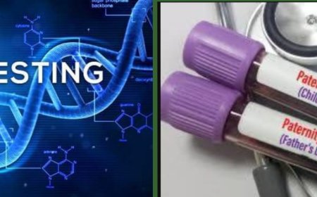 Over 25% of Nigerian Men Are Not Biological Fathers of Their Children Says New Smart DNA Report