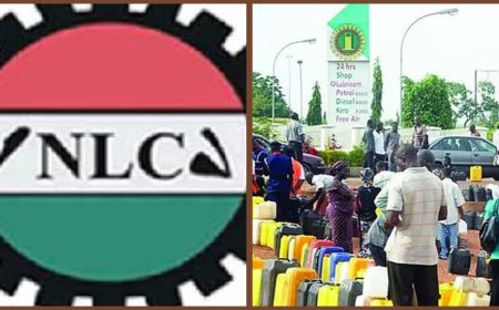 "Nigerians haven't seen the worst yet, We Might End Up Paying Up to N5,000 Per Litre For Fuel" Says NLC Spokesman