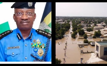 MAIDUGIRI FLOOD:"We Will Continue to Support Borno,” IGP Egbetokun Reassures Amid Flood Crisis