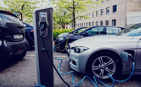 Electric Vehicles Overtakes Petrol for First Time in Norway's Auto Market, Targets 2025 Zero-Emission Goal