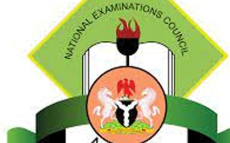 NECO Releases 2024 SSCE Results With Simple Steps for Online Checking, Blacklists 21 Supervisors For Malpractices