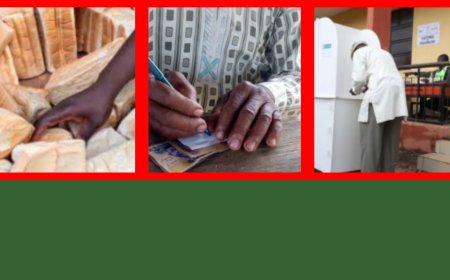 EdoDecides2024: Bread and Money Used to Induce Voters at Polling Units, Reports CSOs
