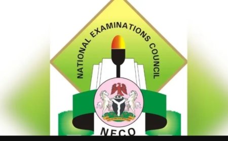 NECO Shortlists 40 Schools In 17 States For Questioning, Possible Sanctions Over Mass Cheating