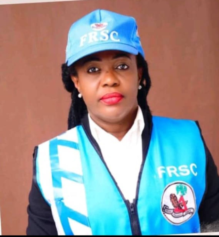 Stop Focusing on Making Videos of Accident Victims, Learn Life-Saving First Responders Skills, National Head, FRSC Celebrity Special Marshals Advise Nigerians