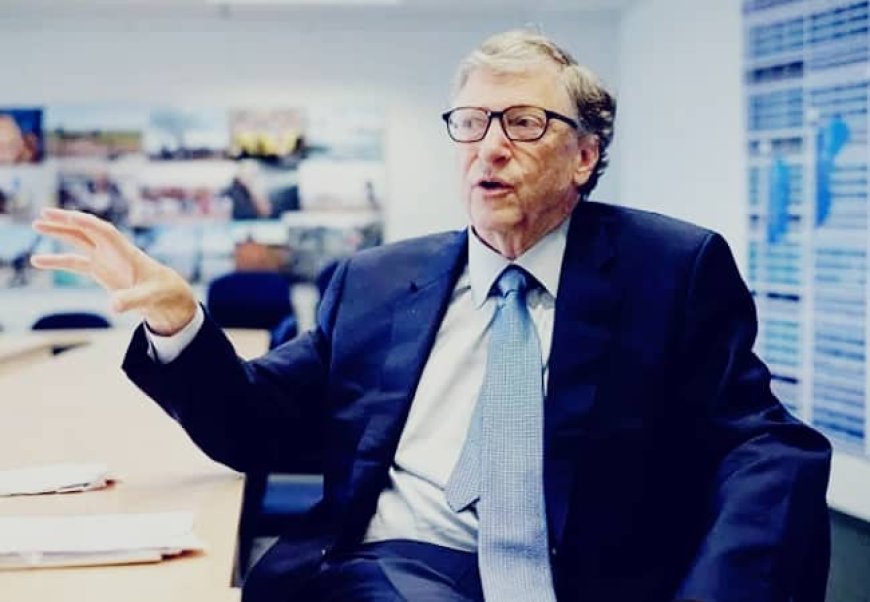 Bill Gates Fingers Nigeria's Low Tax Revenue As Barrier to Health, Education Funding