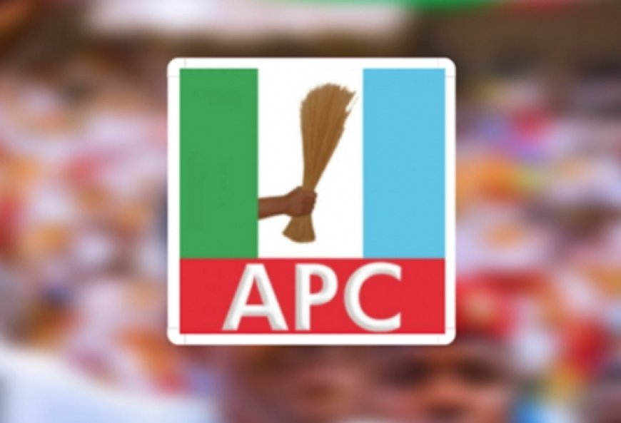 APC Youth League Expresses Strong Confidence Of Victory In Edo Governorship Election, Vows To Unseat Obaseki