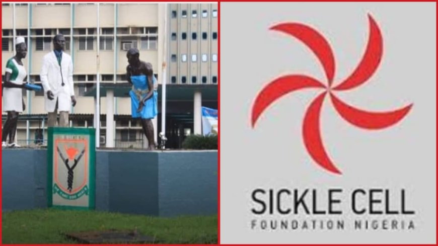 Sickle Cell Treatment Breakthrough: LUTH Partners with SCFN To Launch BMT