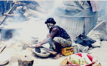 Experts Warns Against Firewood Use Amid Rising Cooking Gas Prices, Advocates Clean Energy Solutions