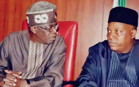 Even While Abroad, Tinubu, Shettima Remains Active, Says Bayo Onanuga