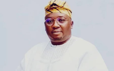 Nigerians No Longer Rely Solely On Generators, Easing Petrol Price Concerns, Says Power Minister, Adebayo Adelabu