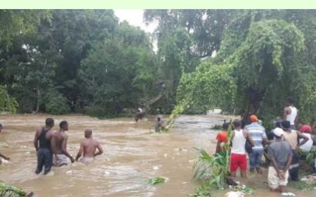 Crops, Homes Swept Away As Flood Ravages 25 Communities In Edo After Release Of Lagdo Dam Water, Displaces Residents Across Three LGAs