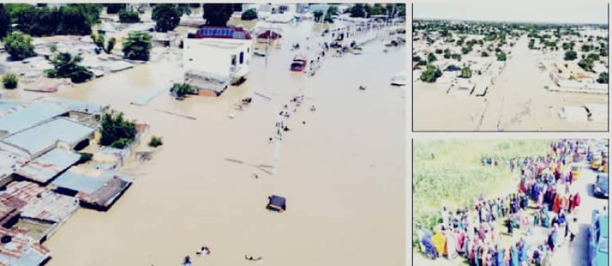 Contractors Face New Challenges As Flood Worsens Alau Dam Damage, Says NEDC