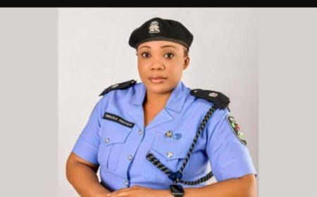 Domestic Violence Fatality:Woman Dies After Fight with Ex-Husband in Ogun