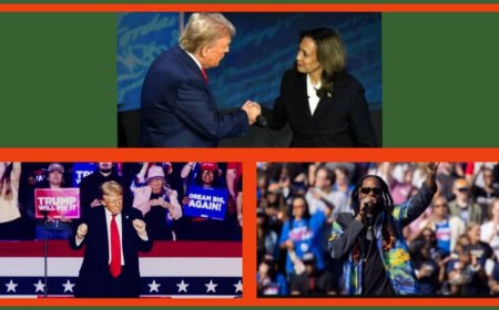Harris, Trump Targets Rust Belt, Swing States As Key Battleground In Final Election Push