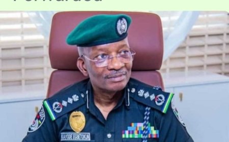 IGP,Kayode Egbetokun Summons Senior Officers To Review Treatment Of Minors In Custody