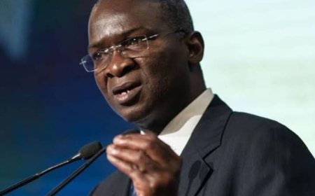 "Running Away is Not the Answer, Nigeria needs you Here”, Fashola Advises Nigerian Youths to Take Up Leadership Mantle