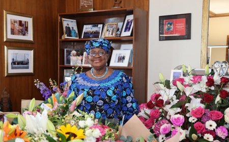 Nigeria's Okonjo Iweala Emerges Sole Candidate for Another Four-Year Term As DG World Trade Organization