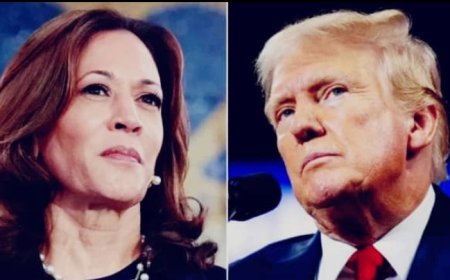 Only INEC Can Save Kamala, Nigerians Playfully Mock 2024 US Election Outcome