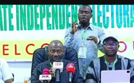Ogun LG Elections: Opposition Parties Cry Foul As OGSIEC Declares APC Winner of All Chairmanship, Councillorship Seats