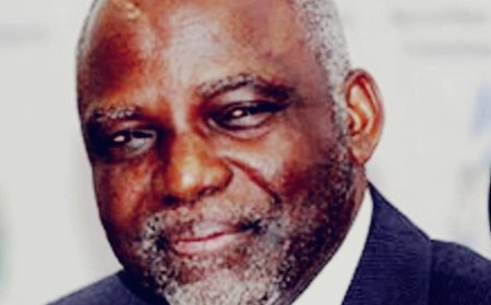 Nigeria to Establish Robotics, AI Institute, STEM Education, Says Former Minister, Bart Nnaji