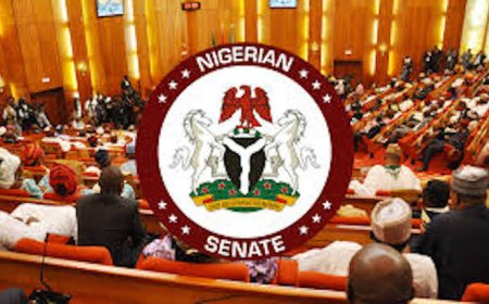 Senate Sacks CCT Chairman, Umar Danladi Over Corruption Allegations