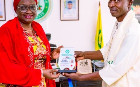 Ogun Deputy Governor Bags  Engineering Fellow Award