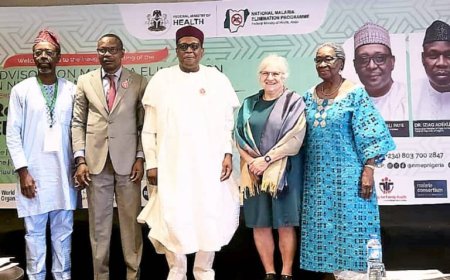 Nigeria Loses Over $1.1 Billion Annually To Malaria, Says Health Minister, Muhammad Pate
