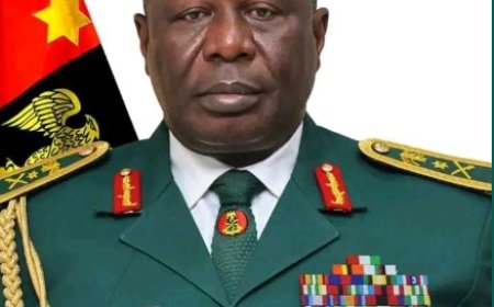 Lieutenant General Olufemi Oluyede Officially Confirmed As Nigeria's Chief Of Army Staff After Rigorous Screening Process