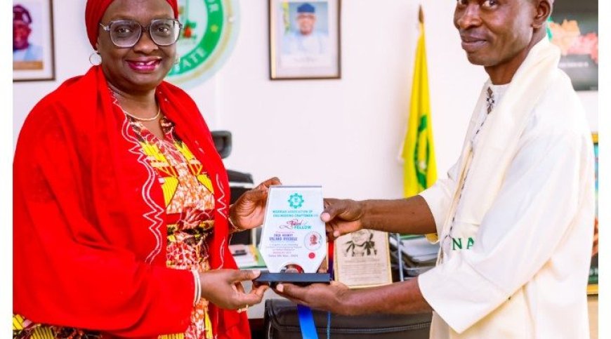 Ogun Deputy Governor Bags  Engineering Fellow Award