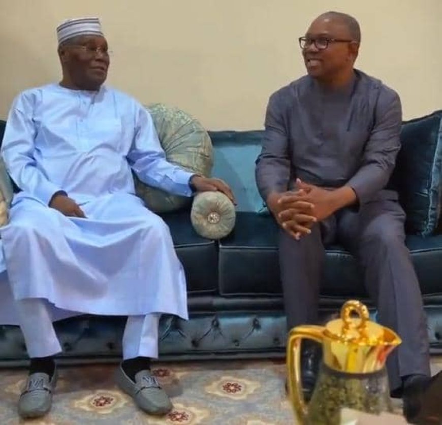 Politics: Atiku Abubakar Hosts Peter Obi in Adamawa, Muse Merger Plans for Defeating Ruling APC in Future Elections