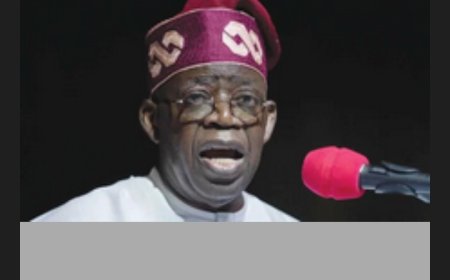 Stop Threatening Tinubu With 2027 Election; Politics Is Not a Job – Presidency Fires Critics, Urges to Focus on Nation-Building