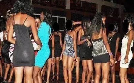 Nigeria Sex Workers Association Seeks Equal Working Right, End to Harassment, Abuse by Security Operatives, Clients