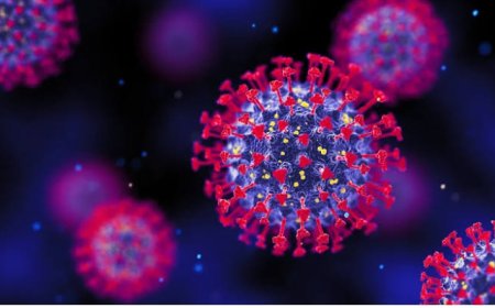 "Do Not Panic Over Rumours of New COVID Variant XEC," FG Tells Nigerians, Says Virus Not Detected in Nigeria