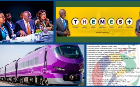 Greater Lagos Projects: Sanwo-olu Secures Significant Investments for Purple Rail, Meets Lagos Medi-Park Village Investors