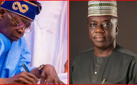 Tinubu Appoints Ogunjimi As Acting Accountant General of the Federation