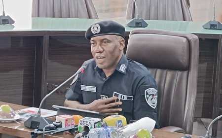 PSC Approves Olanrewaju Ogunlowo as New CP Ogun Following Abiodun Alamutu's Retirement